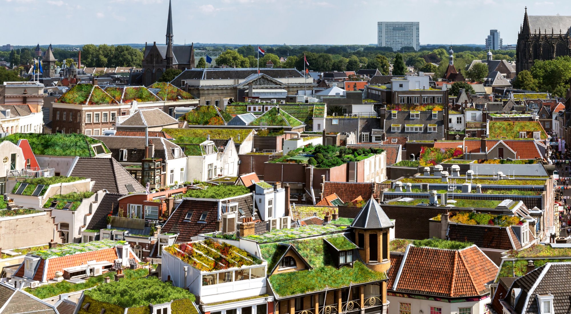 achtergrond afbeelding bij artikel Contact