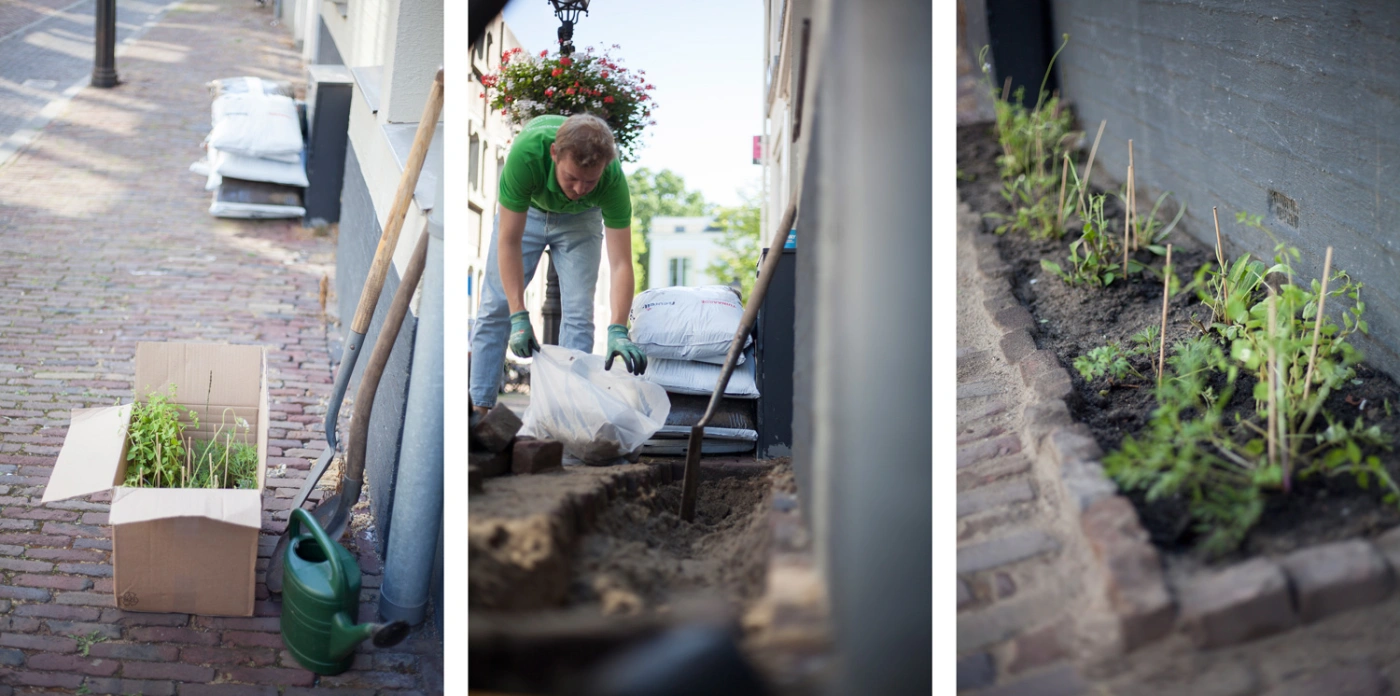 foto tijdens de aanleg van een geveltuin