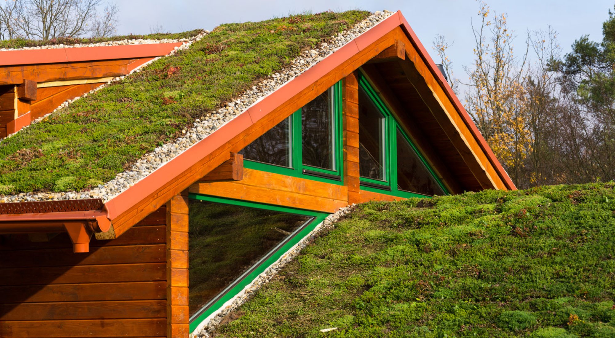 achtergrond afbeelding bij artikel De voordelen van een groen dak aanleggen 