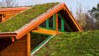 Zelf een groen sedumdak maken. Compleet stappenplan en tips Zelf Een Groen Sedumdak Maken. Compleet Stappenplan En Tips