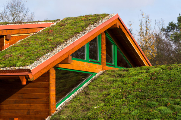 Afbeelding als illustratie bij artikel De voordelen van een groen dak aanleggen 