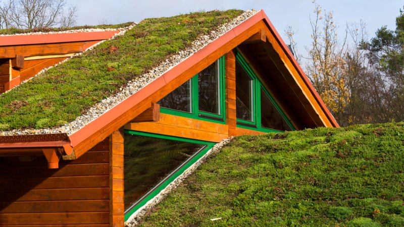 afbeelding artikel De voordelen van een groen dak aanleggen 