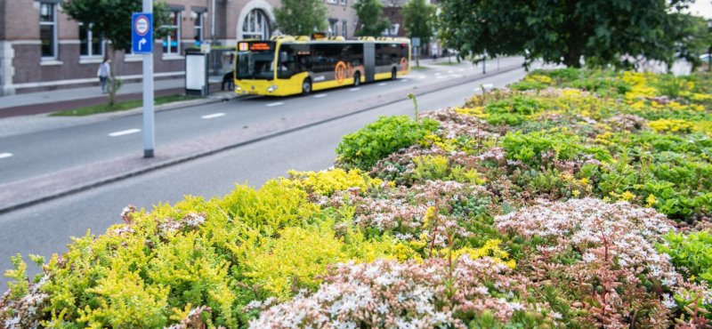 afbeelding bushokje met groene dakbedekking