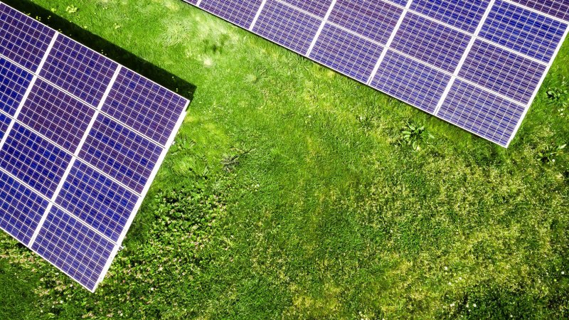 afbeelding artikel Groen dak met zonnepanelen combineren