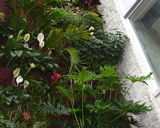 Afbeelding als illustratie bij artikel De voordelen van een groen dak aanleggen 