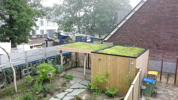 Afbeelding als illustratie bij artikel De voordelen van een groen dak aanleggen 