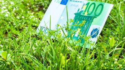 preview afbeelding bij artikel Subsidies voor groene daken