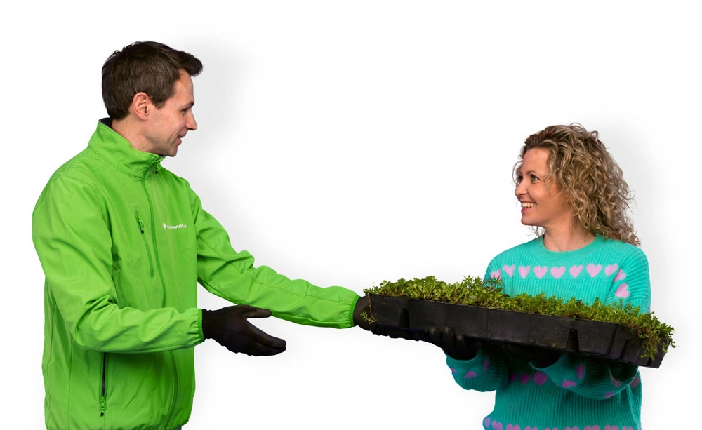 Afbeelding als illustratie bij artikel Woningwaarde verhogen met duurzame maatregelen