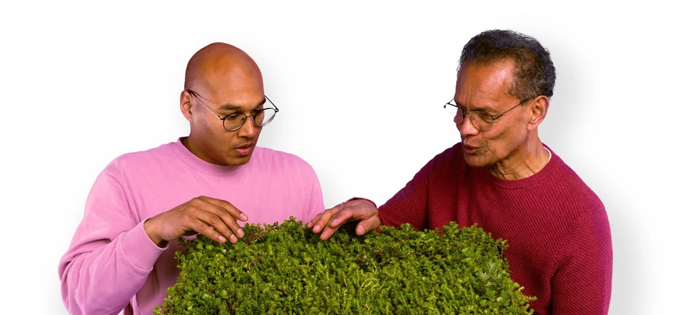 Afbeelding als illustratie bij artikel Een duurzame, onderhoudsarme (stads)tuin aanleggen