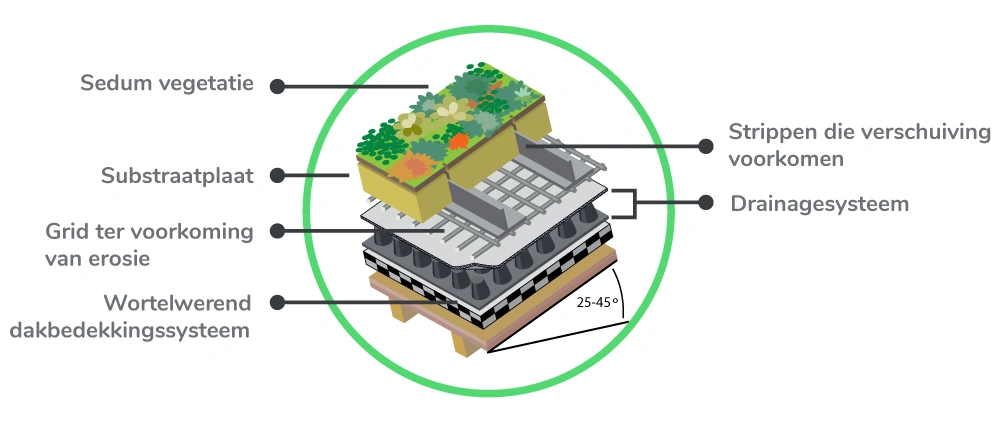 Voorbeeld van een groendaksysteem op een schuin dak