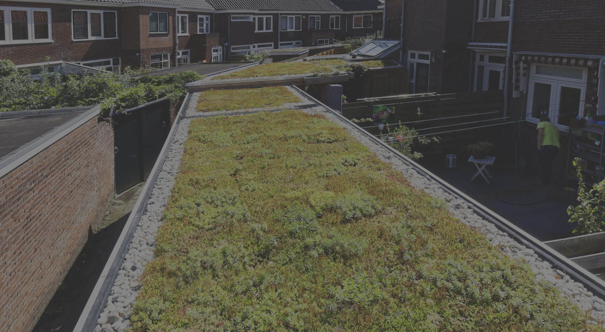 achtergrond afbeelding bij artikel Groen dak - 2022 - Online - Almelo