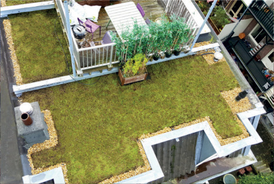 Afbeelding als illustratie bij artikel Een duurzame, onderhoudsarme (stads)tuin aanleggen
