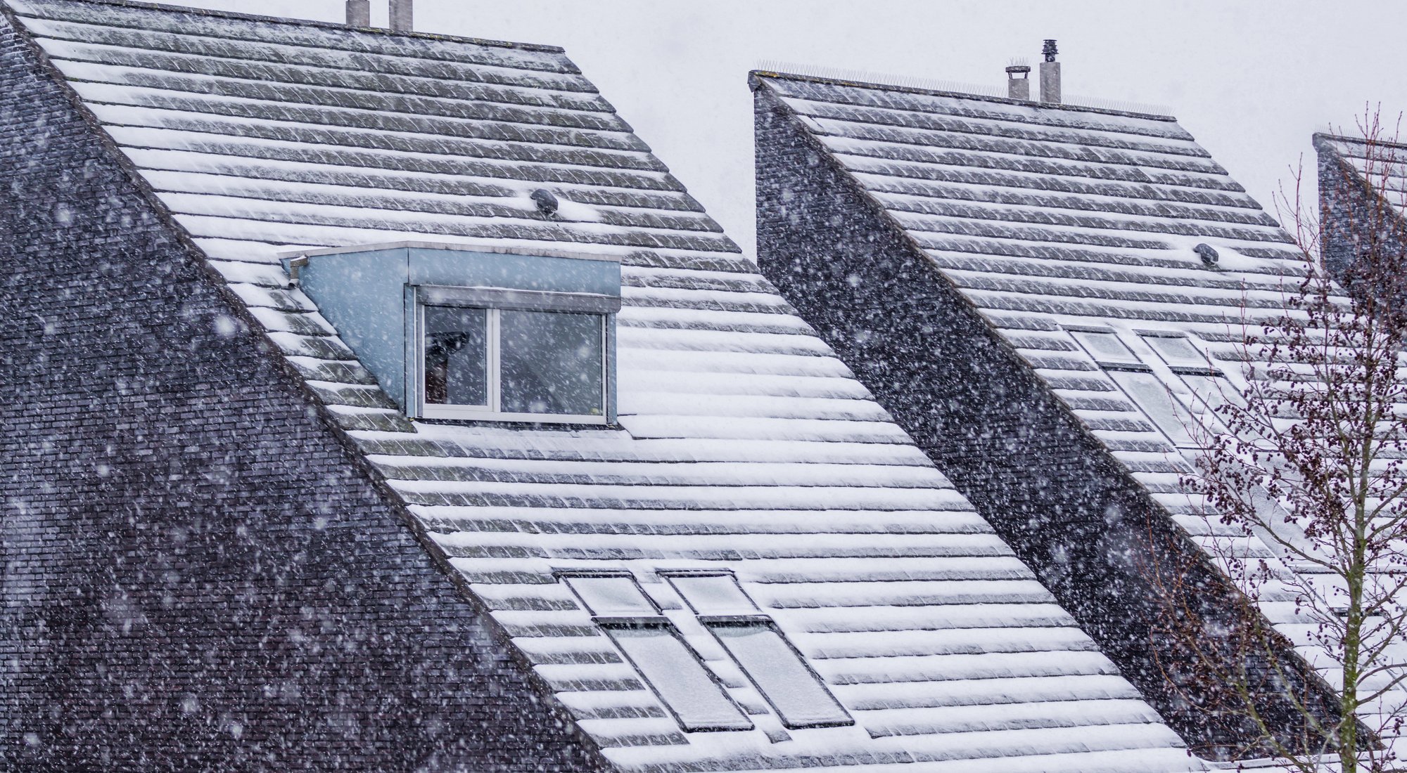 achtergrond afbeelding bij artikel Dakisolatie