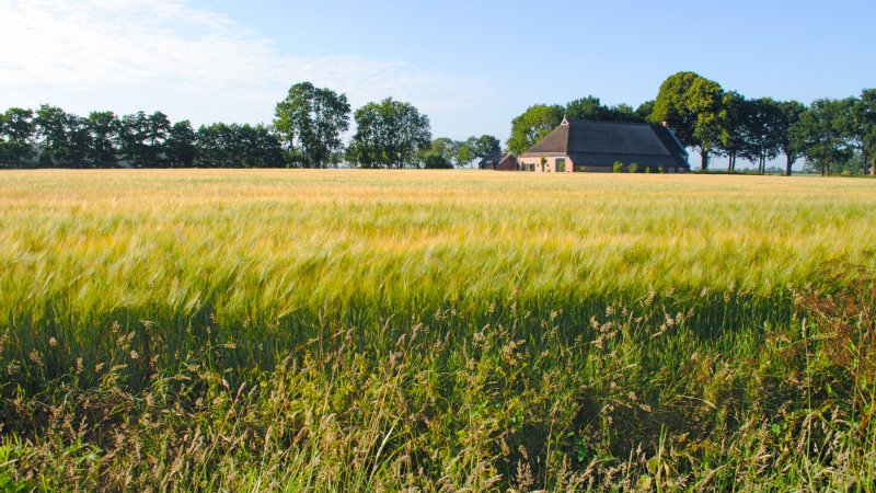 preview afbeelding bij artikel Veelgestelde vragen