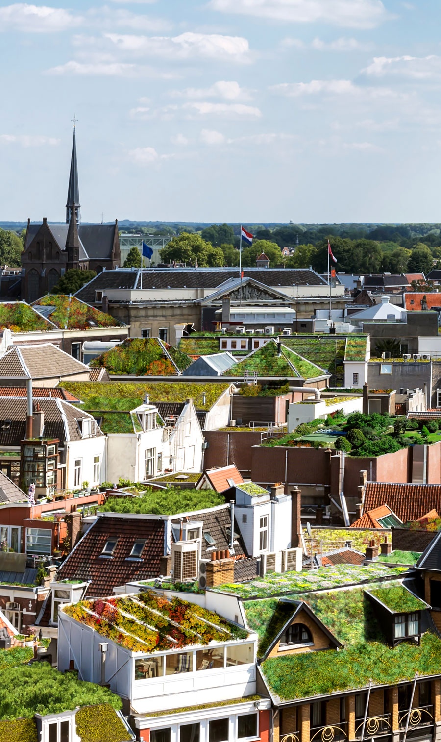 afbeelding stad utrecht voorzien van groene daken (desktop versie)