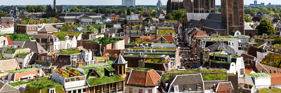 afbeelding stad utrecht voorzien van groene daken (mobiele versie)