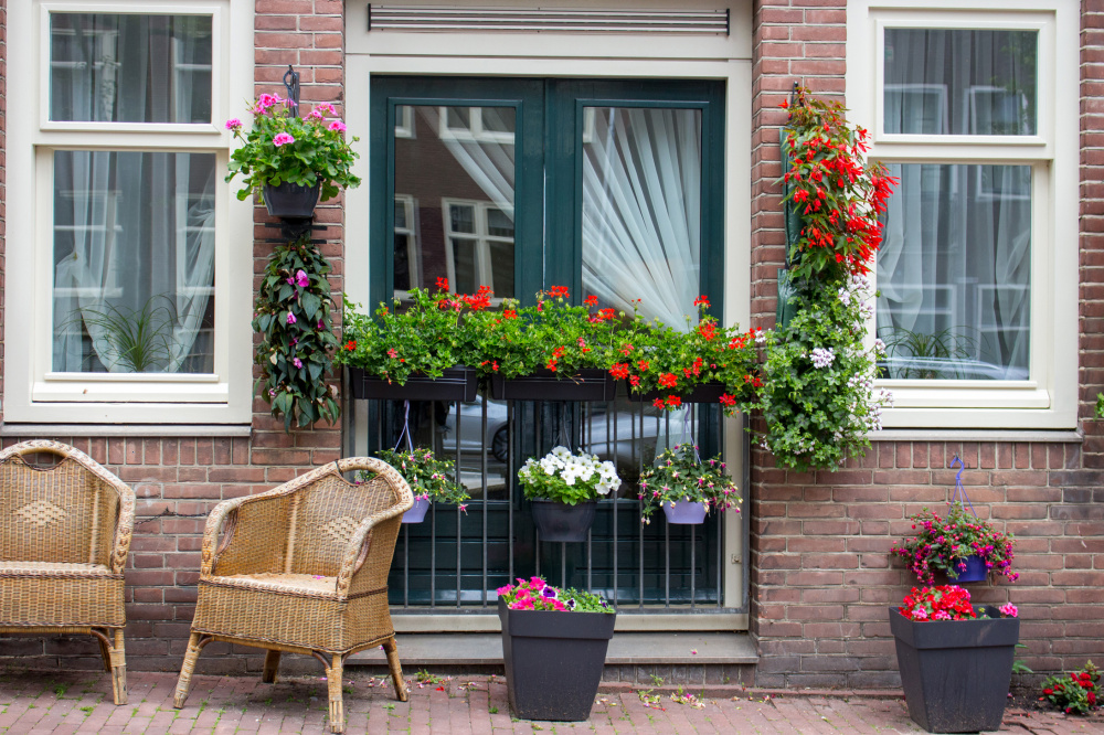 Afbeelding als illustratie bij artikel Een geveltuin aanleggen. De voordelen, geschikte planten en tips.
