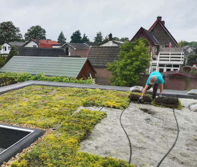 Afbeelding als illustratie bij artikel Een duurzame, onderhoudsarme (stads)tuin aanleggen