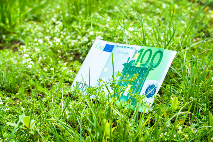 foto 100 euro biljet op groene ondergrond